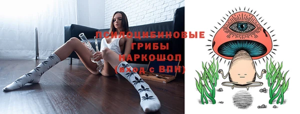 ешки Алексеевка