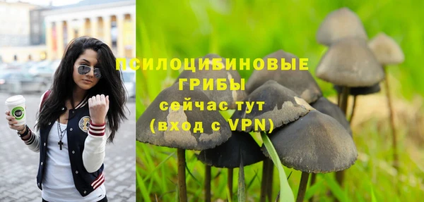 прущие грибы Абдулино