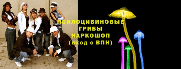 ешки Алексеевка