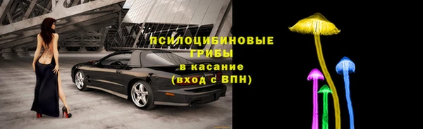 прущие грибы Абдулино